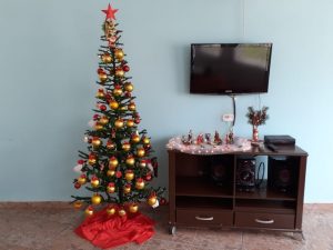 Read more about the article O Lar dos Velhinhos de Capivari já esta enfeitado para o Natal