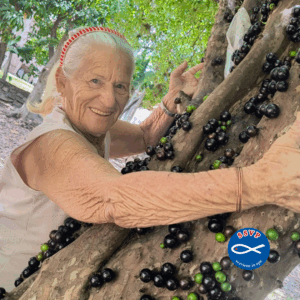 Leia mais sobre o artigo Moradores – Pomar Jabuticabeira em 11.11.2025