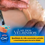 Atividades Moradores – Fisioterapeuta trabalhando a Motricidade Fina em 30.01.2026